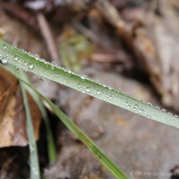 /album/galerie-photos/frida-dumont-img-6065-jpg/